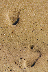 Similar image 1673944