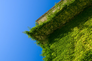 Similar image 1673952