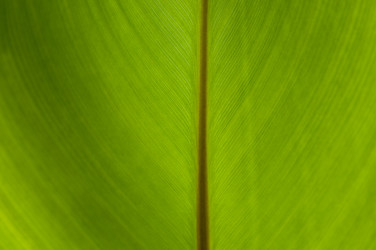 Similar image 1673963