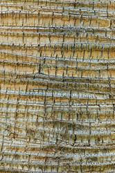 Similar image 1673964