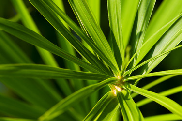 Similar image 1673965