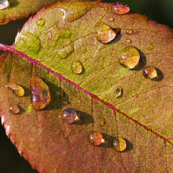 Similar image 1673966