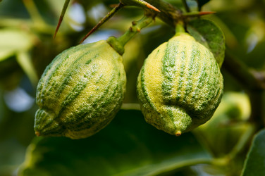 Similar image 1673967