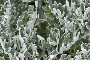 Similar image 1673970