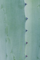 Similar image 1673971