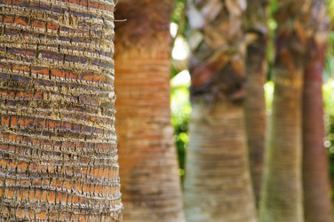 Similar image 1673972