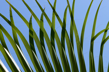 Similar image 1673973