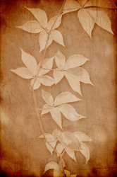 Similar image 1673976