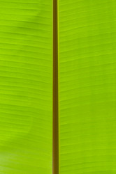 Similar image 1673978