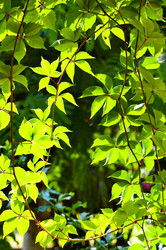 Similar image 1673981