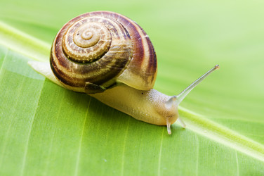 Similar image 1673982