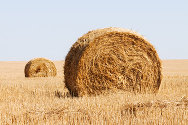 Similar image 1673988