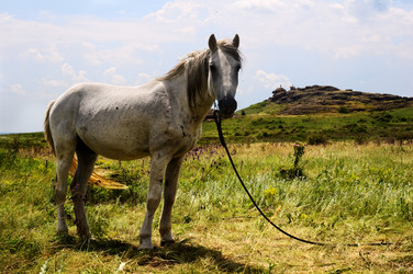 Similar image 1673991