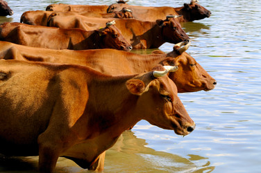 Similar image 1673992