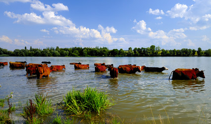 Similar image 1673993