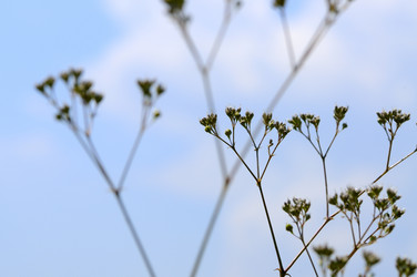 Similar image 1673995