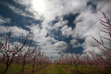 Similar image 1674003