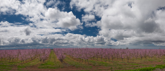 Similar image 1674004