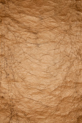 Similar image 1674026