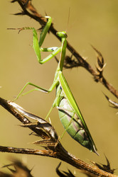 Similar image 1674032