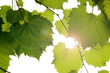 Similar image 1674038