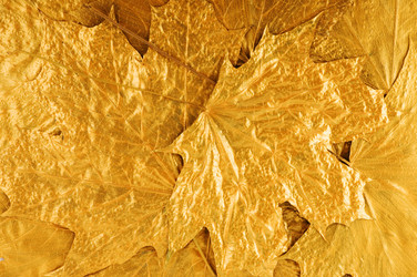 Similar image 1674039