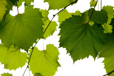 Similar image 1674043