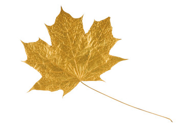 Similar image 1674045