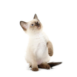 Similar image 1674107