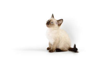 Similar image 1674108