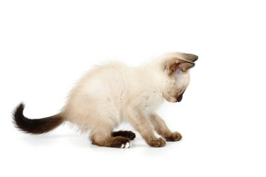 Similar image 1674109