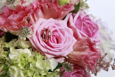 Similar image 1674194