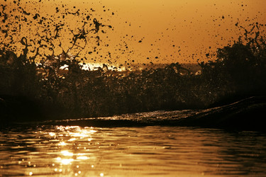 Similar image 1674204