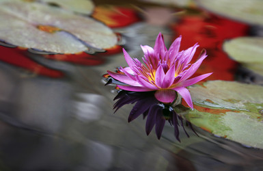 Similar image 1674205