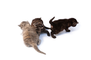 Similar image 1674223