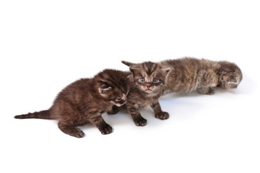 Similar image 1674243