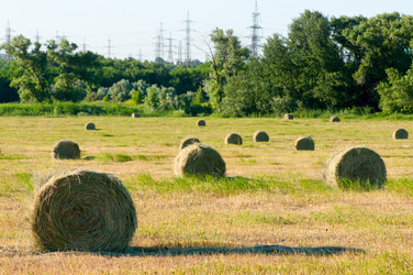 Similar image 1674253