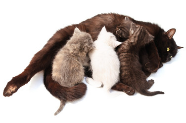 Similar image 1674254