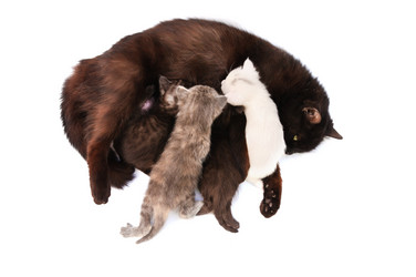 Similar image 1674255