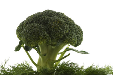 Similar image 1674290