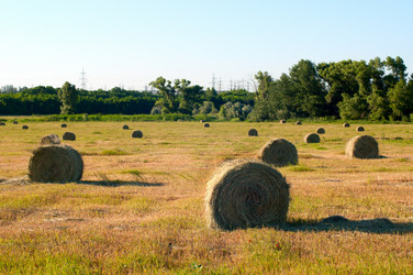 Similar image 1674302