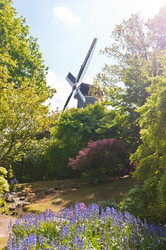 Similar image 1674353