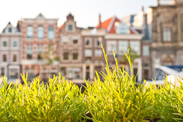 Similar image 1674354