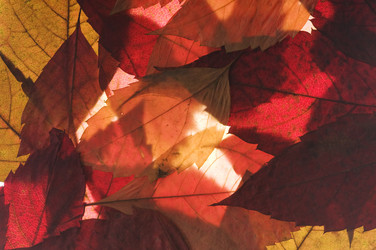 Similar image 1674399