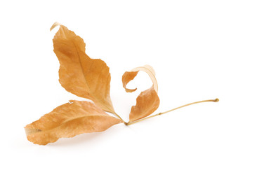 Similar image 1674400