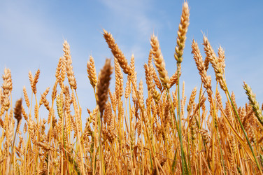 Similar image 1674405