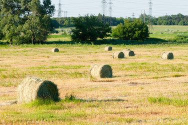 Similar image 1674412