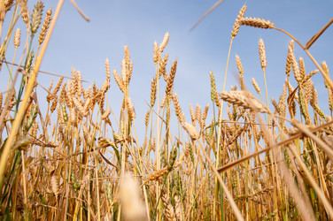 Similar image 1674413