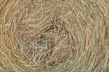 Similar image 1674415