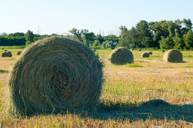 Similar image 1674416